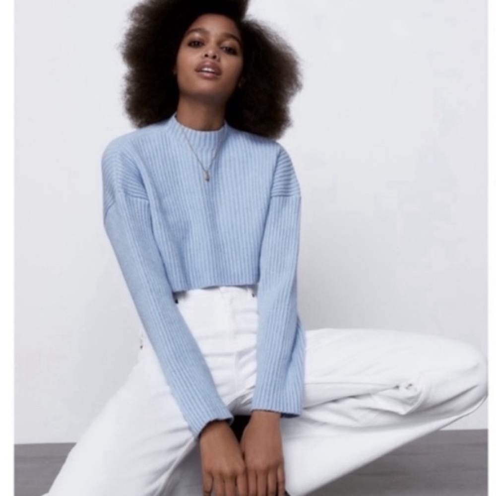 Zara chunky knit cropped long sleeve sweater